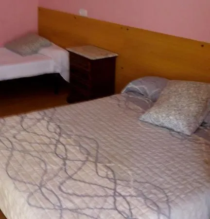 Albino Guest house